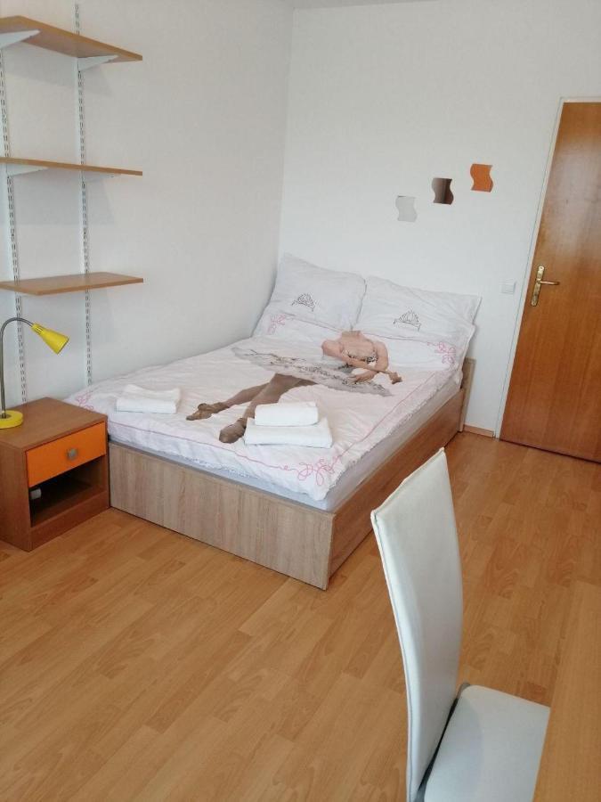Hospedagem domiciliar Arena Stozice *